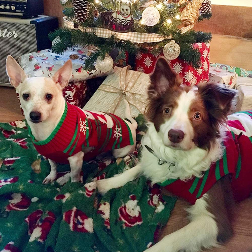 Snowmen and Paws: The Ultimate Pooch and Kitten Holiday Sweater Extravaganza! (Snowman style for the XXL cuties)