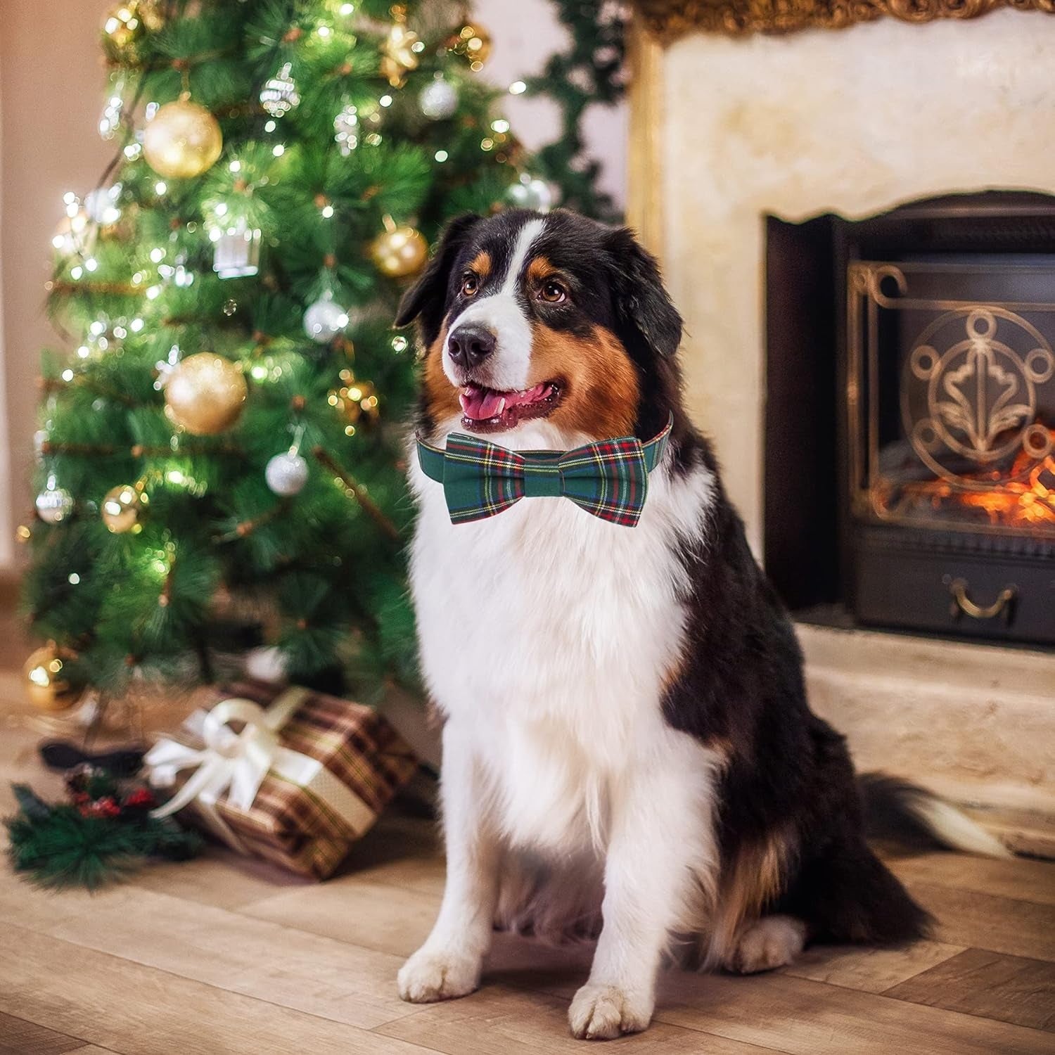 Sleigh My Style: Festive Adjustable Plaid Dog Bling with Removable Bowtie for Pooch Party Fun (Red & Green, Large)