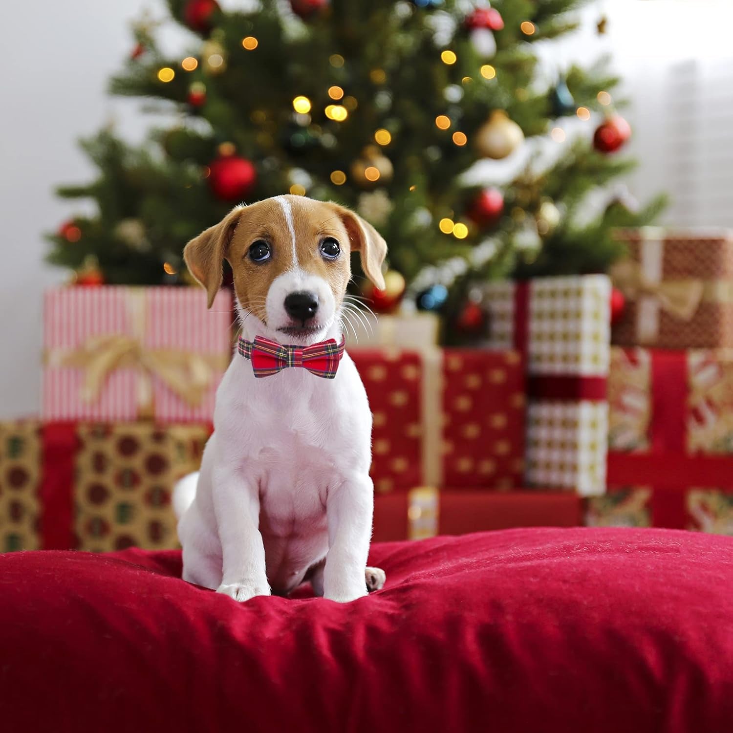 Sleigh My Style: Festive Adjustable Plaid Dog Bling with Removable Bowtie for Pooch Party Fun (Red & Green, Large)